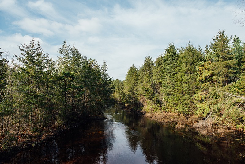 615409523_122198919998319421_3575194253987290826_n